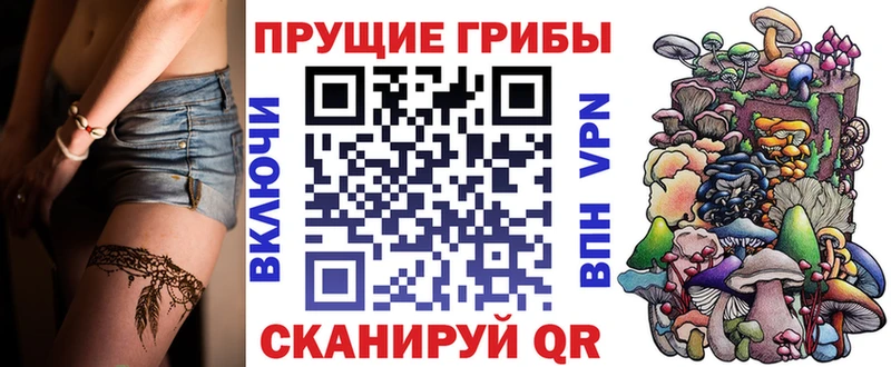 купить закладку  Свирск  Галлюциногенные грибы GOLDEN TEACHER 